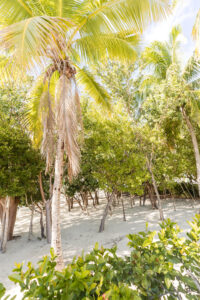 Bahia Bay Resort, Key Largo , Stacia Morgan Photography-0027