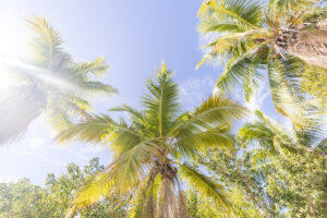Bahia Bay Resort, Key Largo , Stacia Morgan Photography-0031