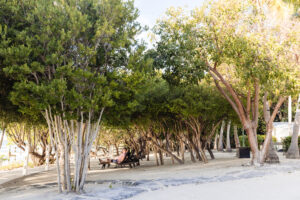 Bahia Bay Resort, Key Largo , Stacia Morgan Photography-1029