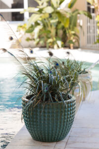 Bahia Bay Resort, Key Largo , Stacia Morgan Photography-9880